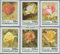 Aserbaidschan 320-325 (complète.Edition.) Neuf avec Gomme Originale ** MNH 1996 Rose sélections (Timbres pour Les collectionneurs) Plantes/Champignons