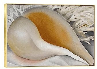 EVANEM Berühmte Georgia O'Keeffe Bilder. Shell Moderne Leinwanddrucke Poster. Berühmte Ölgemälde-Reproduktion für Wohnkultur 80x112cm Goldener Rahmen