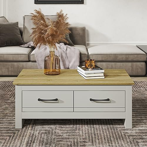Galano Limestone 2 Drawer Coffee Table – Rectangular Living Room Table with Storage – Engineered Wood Cabinet – Light Grey/Oak