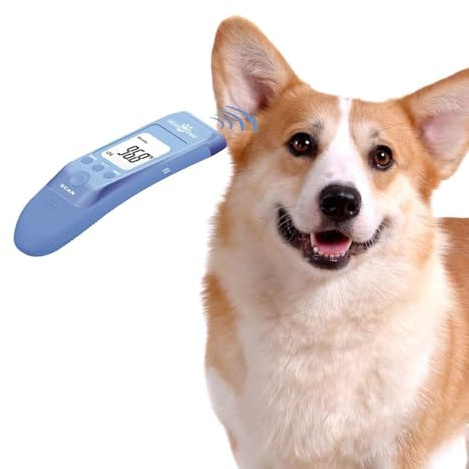 Mindpet-med Thermomètre sans contact pour animaux de compagnie pour chiens, clinique rapide classique, 3 modes (corps, surface d'objet, pièce), modes corporels pour mesurer avec précision la