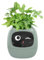 Swiixxer Ivy Smart Planter, Maceta Pequeña Recargable por USB para Interior Como Decoración para Interiores. Hace que Criar Plantas Fácil y Diversión Verde