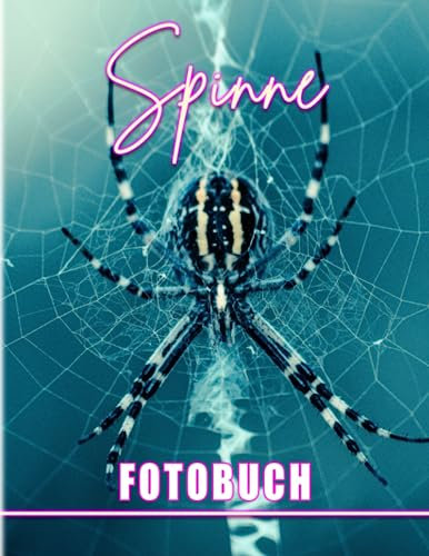 Spinnen-Fotobuch: Sammlung Fotografie von Spinnen in der Natur Buch für Dekoration als Geschenke | Mit Zurück zur Schule Geschenken zum Lernen und Dekorieren.