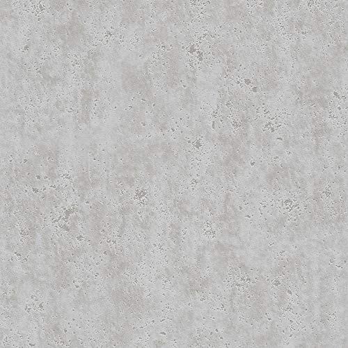 BRICOFLOR Beton Tapete | Beton Tapete in Hellgrau | Industrial Vliestapete in Betonoptik mit Vinyl Struktur | Moderne Vlies Betontapete in Grau ideal für Büro und Küche