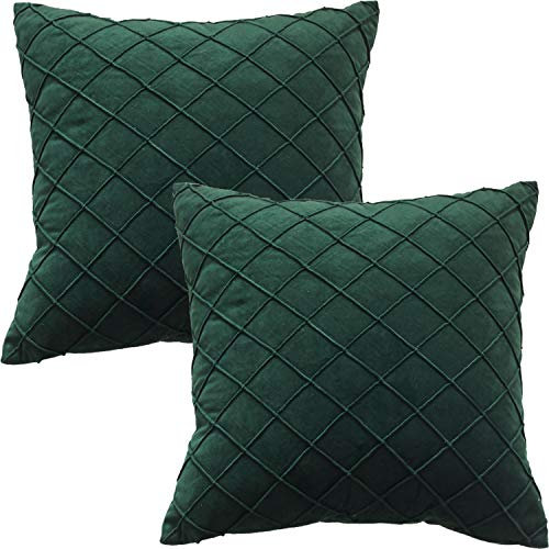GONOVE Velvet Cushion Covers 45X45cm Soft Decorative Dark Green Throw Pillow Cases Pack of 2 Square Pillow Covers Pillowcases with Invisible Zipper for Home Couch Sofa Bed