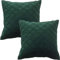 GONOVE Velvet Cushion Covers 45X45cm Soft Decorative Dark Green Throw Pillow Cases Pack of 2 Square Pillow Covers Pillowcases with Invisible Zipper for Home Couch Sofa Bed