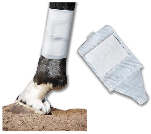 Equine BandaFlex Non-Adhesive, Disposable, Washable and Reusable Bandages (Medium)