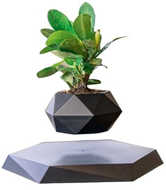 ETRAVEL Pot de fleurs en bois en lévitation pour plantes grasses, cactus - Décoration en lévitation pour la maison et le bureau - Affichage flottant magnétique - Noir