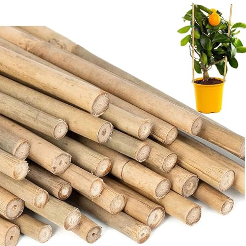 Almineez Natural Bamboo Plant Support Sticks 90cm / 3FT Plant Stakes Split Canes, Floral Garden Flower Sticks for Orchid Pea Vegetables Support Floral Plant Stakes (20)