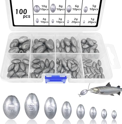 YOUNGSAY 100 PCS Blei Angeln, Abnehmbar Bleigewichte Angeln, 1g/2g/3g/4g/5g/6g/8g/10g Angelblei mit Aufbewahrungsbox, Für Hochseeangeln und Süßwasserangeln