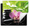 DarHaus Herdabdeckplatte Einteilig Küche Herdabdeckung Ceranfeld Herdabdeckplatten Anti Rutsch Matte Aufrollbar 60x52 cm, grün - Orchidee