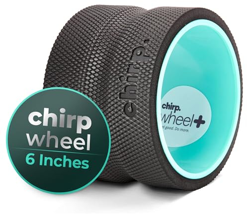 Chirp Plexus 15,2 cm tiefes Geweberad + für Rückenschmerzen, dehnt und stärkt die Rumpfmuskulatur, lindert die Belastung der Muskeln und Bänder, verhindert Bandscheibenvorfall, Arthritis und