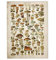 LAVALINK Kunst Retro Poster Gedruckt Pilz Pilz Recognition Referenzkarte Abbildung Botanik Bildung Wanddekoration