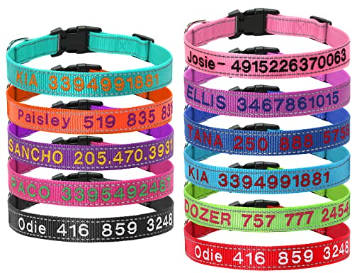 Hundehalsband Reflektierend Halsband Personalisierte Halsbander mit Namen Telefonnummer Bestickt
