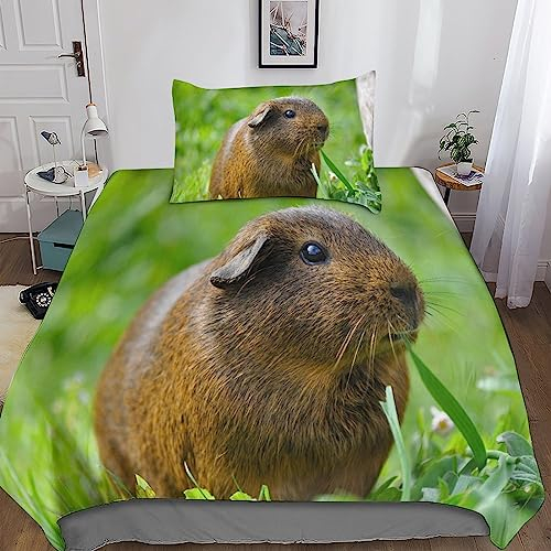 Rochile Meerschweinchen Bettwäsche Set Bettbezug Set Atmungsaktive Mikrofaser Bettwäsche Für Schlafzimmer, Weiche Bequemer Single（135x200cm）