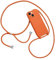 Emlivi Coque Compatible avec iPhone 13,Collier pour Étui Colliers de cellulaire Mince Antichoc Réglable Lanyard Case Corde Silicone avec Cordon TPU Bumper pour iPhone 13, Orange