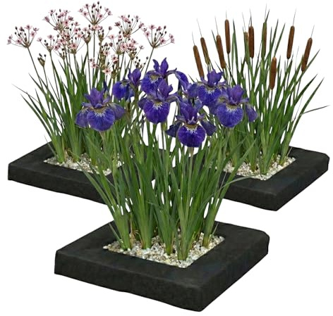 Vdvelde․com - Pflanzinsel Set 3er, 12 Teichpflanzen mit Schwertlilie | Schwimmender Wasserfilter für klaren Gartenteich, Schwanenblume inklusive, mit Körben, Substrat und Dünger