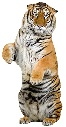 GRAZDesign Wandtattoo Tiger sitzend | Wandaufkleber Afrika | Wandsticker Deko Aufkleber 3d - 117x57cm