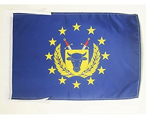 AZ FLAG European Army Flag 45x30 cm 100D Polyester Cords | Indoor and outdoor use Army of Europe 12x18 in decorative flag double stitched seams and reinforced edges with ties