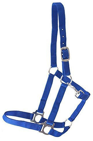 German Riding Halfter NYLONHALFTER blau Full/WB