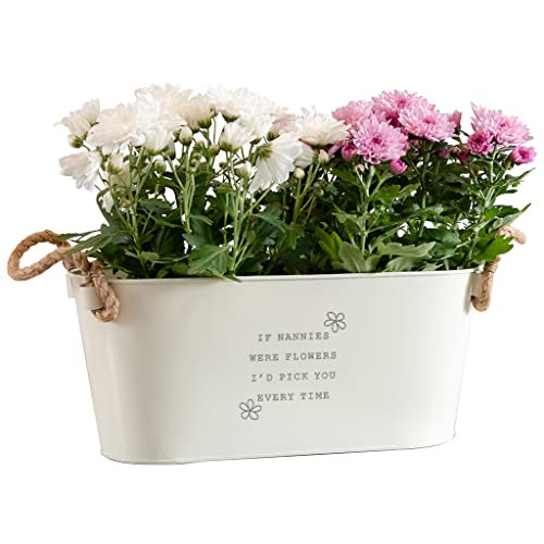 Dust and Things Engraved Nannies Garden Long Plant Pot - Indoor/Outdoor, Beige, Medium Size, Rectangular, No Drainage Hole