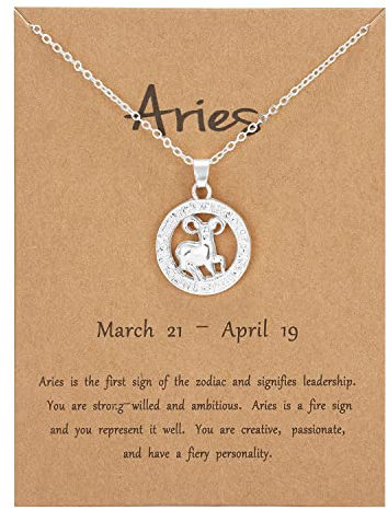 Silver Star Sign Motif Pendant Chain Necklace - Aries (21st March - 19th April) - Zodiac Constellation Horoscope Celestial Astrology Jewellery - Women Men Gift