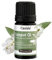 Cajeput Öl Naturrein - Ätherisches Öl - Therapeutische Qualität – Cajeput Öl für Aromatherapie, Aromadiffuser - Aus der Apotheke - 5 ml