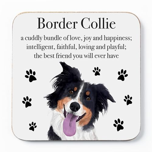 Border Collie Getränkeuntersetzer – Border Collie Geschenk für Männer, Frauen – Geburtstagsgeschenk für Hundeliebhaber – lustiges Geschenk für Freunde, Kollegen, Familie – kleine Geschenkidee –