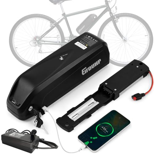Batería Ebike 48V 15AH, Batería Bicicleta Electrica Litio para Motor 1000W 750W 500W 350W 250W, con Puerto USB, Cargador, Placa Base 5 Pin y Célula Grado A