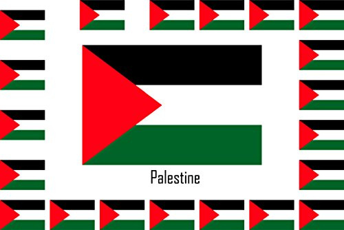 SAFIRMES Assortiment 15 Autocollants Vinyle Stickers Flag Drapeau Palestine