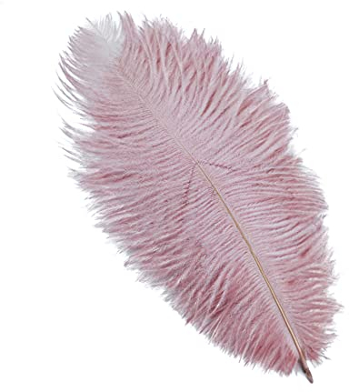 10 Stück 25-30cm Natürliche Straußenfedern,Strauß Feder zum Basteln,Bastel Federn für DIY Traumfänger Zubehör,Heimdekoration,KostüMe,Tischdeko Hochzeit Party Fest Hüte Kleidung Dekor,Bohnenpaste lila