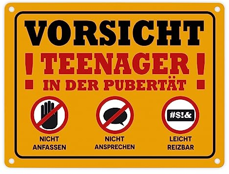 Vorsicht Teenager in der Pubertät Metallschild in 15x20 cm mit Warnhinweisen für Jugendliche zum Geburtstag die gerne ihre Ruhe haben und genervt sind
