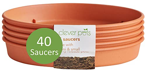 Clever Pots Sottovasi per Piante, Vassoio da 40x per l'uso con vasi per piante Mini/Piccole a Rilascio Facile, Sottovaso Rotondo per Piante in Plastica per Interni ed Esterni, Terracotta