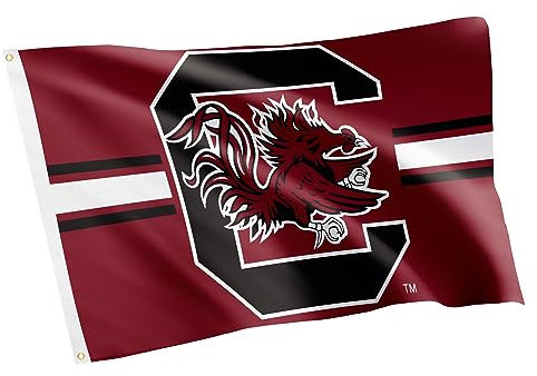 Desert Cactus Flaggen der University of South Carolina, 100 % Polyester, für drinnen und draußen, 90 x 150 cm, Design L