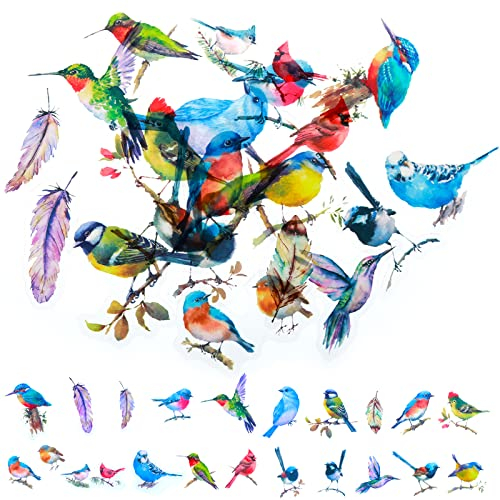 ASTER 80 Stück Mini Vogel Stickers Feder Fliegenvogel Aufkleber 3-5cm Bunte Transparent PET Scrapbooking Aufkleber, Bastelaufkleber Sticker für Blumen Laptop Skate Tassen Gepäck