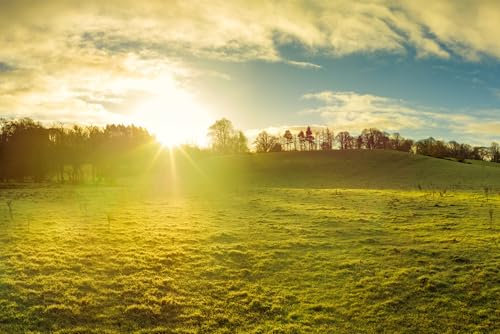 Jigsaw Puzzles For Adults 1000 Piece Northern Ireland Countryside Morning Sunrise View Photo Family Funny Challenging Holiday Puzzles for Adults Puzzle Gift for Women Men Seniors