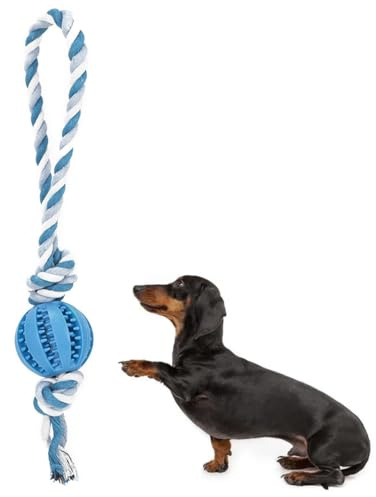 Hundeball mit Zahnpflege-Funktion Noppen Hundespielzeug aus Naturkautschuk, Hund, Denta Fun Ball, Naturgummi mit Minzgeschmack, Alle Rassengrössen, 6 cm
