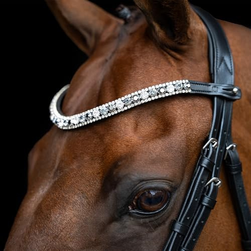 Imperial Riding Stirnriemen IRHSlim, schmales Stirnband aus Leder mit Glas-Strasssteinen und Stiftverschluss, Schwarz-Silber, Cob