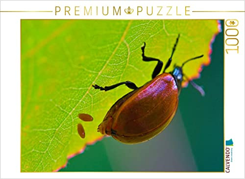CALVENDO Puzzle Pappel-Blattkäfer | 1000 Teile Lege-Größe 64 x 48 cm Foto-Puzzle für glückliche Stunden