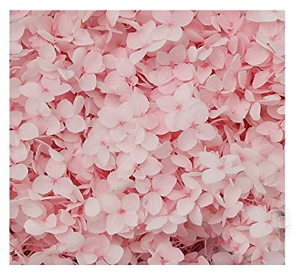 Fiori secchi di ciliegio leggeri con piccole foglie conservate, decorazione per lavori fai da te, materiale per accessori floreali, fiori pressati per candele, articoli per lavori manuali, forniture