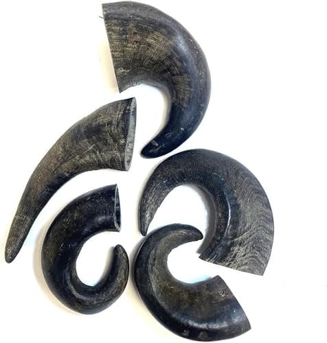 Small Buffalo Horns x 5 Natural Dog Treats Chews DCP