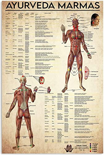 FWJZDSP Metallschilder „Ayurveda Marmas, Retro-Medizinwissen, Poster, Lern-Infografiken, Plaketten, Wanddekoration für Zuhause, Club, Büro, 20,3 x 30,5 cm