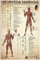 FWJZDSP Metallschilder „Ayurveda Marmas, Retro-Medizinwissen, Poster, Lern-Infografiken, Plaketten, Wanddekoration für Zuhause, Club, Büro, 20,3 x 30,5 cm