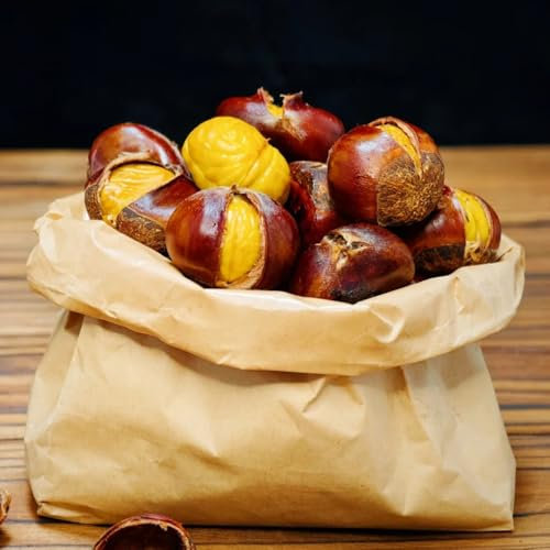 esskastanien esskastanienbaum kaufen samen, maronenbaum samen - bäume kaufen, zimmerbonsai bonsai Kastanien Chestnut Saatgut, winterharte kübelpflanzen baumsamen, bonsai samen indoor 20pcs