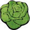 Niedliche Rosen-Badezimmerteppich, grüne Blumen-Badteppiche, flauschig, weich, superfein, floral, Badewannenteppich, rutschfest, Badematte, maschinenwaschbar, Badezimmer, Duschraum, 59.9x64.8 cm