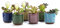 Spldsun 6 Farben Keramik Sukkulenten Töpfe, Kaktus Pflanze Töpfe, Mini Blumentöpfe, Kann verwendet Werden, um Kakteen, Sukkulenten und einige Kleine Blumen und Gräser Anzubauen