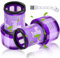 Swetfela 2 Pezzi Filtro per Dyson V12, Sostituisci Filtri per Dyson v12 Slim Absolute Total Clean/Extra/Fluffy Accessorio, Parte per 971517-01