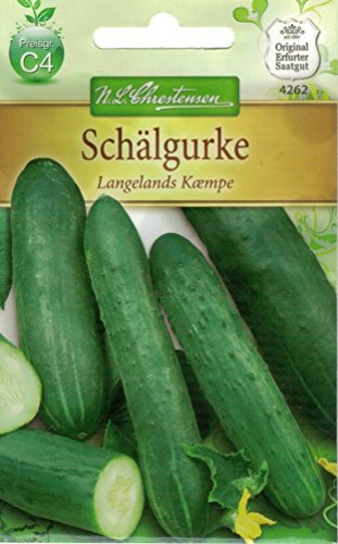 Chrestensen Schälgurke 'Fatum'
