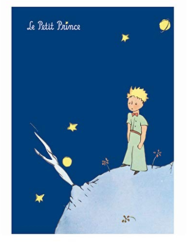 Der kleine Prinz Book dunkelblau