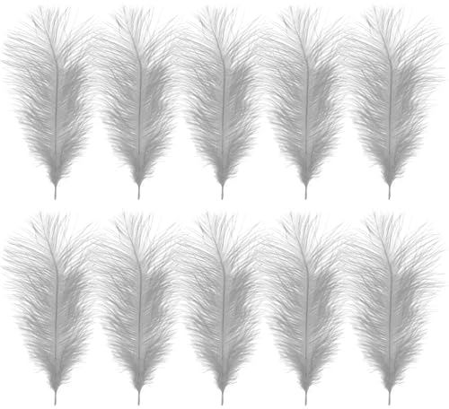 WedDecor Silver Natural Ostrich Feathers 14-16 Inch (35-40cm), Pack of 10 | Craft Feathers for Wedding Centerpieces, Home, Decorating Costumes, Embellishment, Art & Craft, Parties