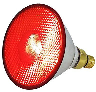 Eider Infrarotlampe 100-, 150 -, 175- und 250 Watt auswählbar - Wärmelampe E27 - Top Qualität (Energiesparlampe 175 Watt)